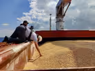 The complex challenge of delivering grain from Ukraine