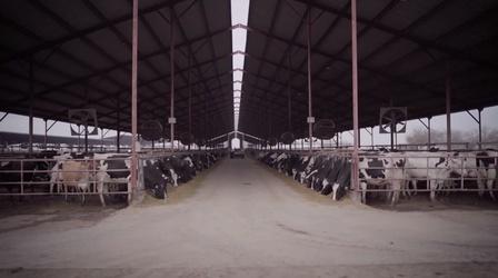 Video thumbnail: Earth Focus Dairy Alternatives Preview