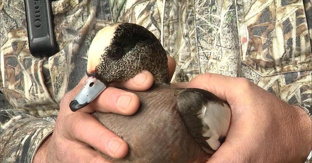 Kentucky Afield Rabbit Hunting; Protecting Waterfowl; Wildlife