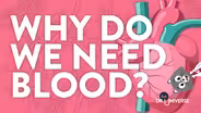 Why Do We Need Blood?