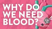 Why Do We Need Blood?