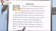 3-340: Reading The Camel