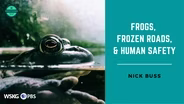 Frogs,  Freezing Roads & Human Safety