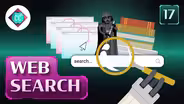 Web Search #17