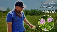 What is Amowesh? With Cusi Ballow