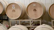 Wisdom Oak Winery