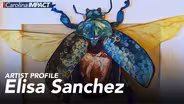 Artist Elisa Sanchez