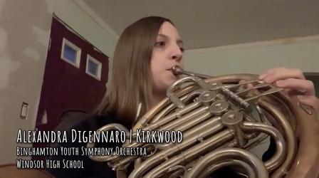 Video thumbnail: Artists' Neighborhood Alexandra Digennaro