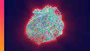 How Scientists Made the Hottest Thing Ever