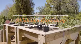 Planting Vegetables on the Best of Oklahoma Gardening February 8, 2025