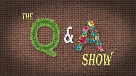Video thumbnail: The Family Plot Q&A Show