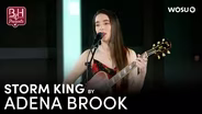 Storm King by Adena Brook | WOSU Broad & High Presents