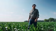 Why Opportunities in Agriculture Are Endless