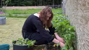 How Port Lions is increasing local food production