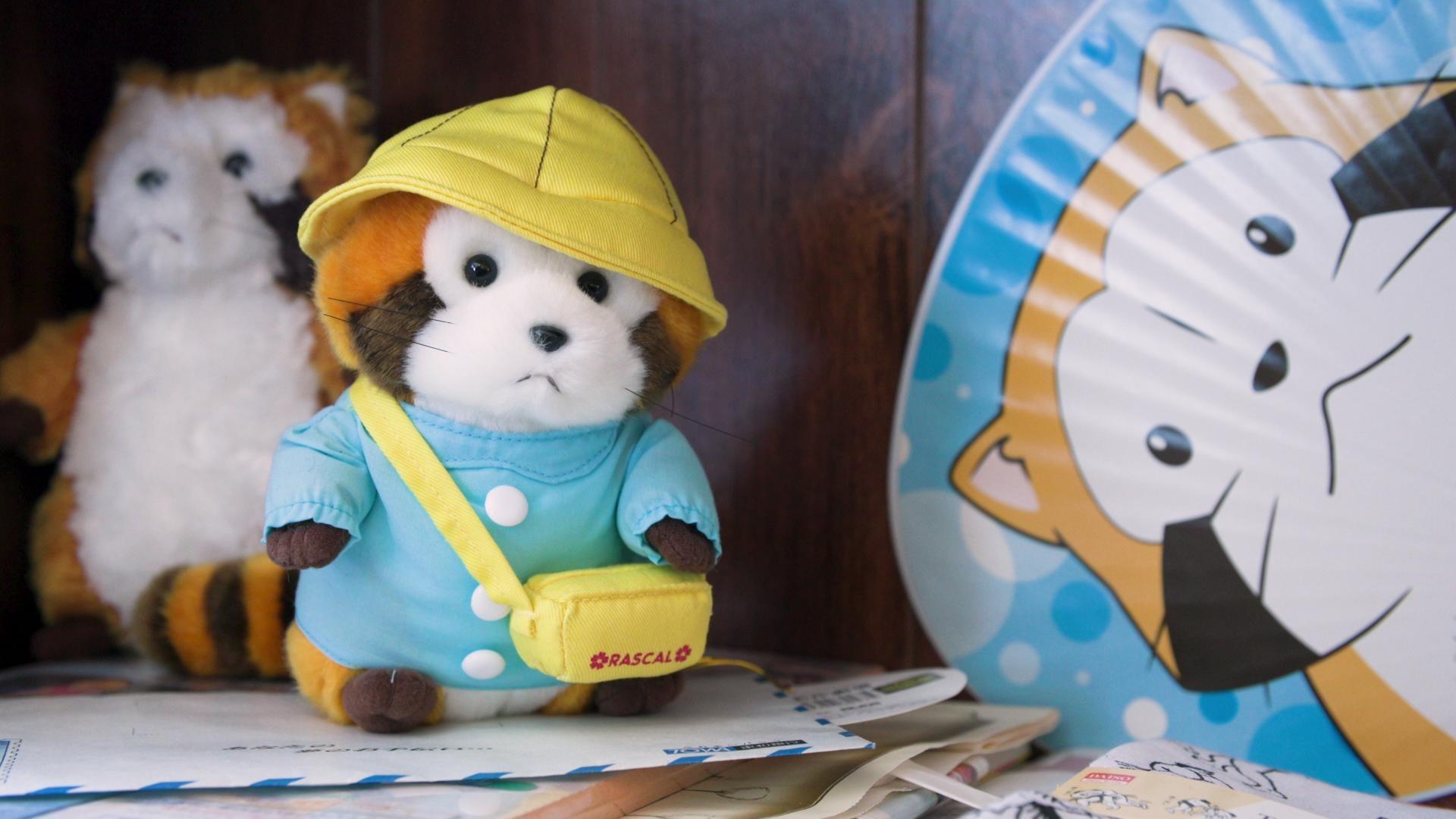 Wisconsin Life | A small town raccoon becomes an international