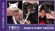 10/30/2025 | Ultra, Marnie and Jerky Stick | Mark's Furry Friends Extra