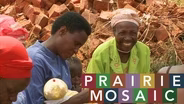 Prairie Mosaic 1005