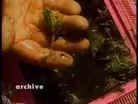 Deformed Frogs