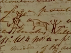 Expedition Journals