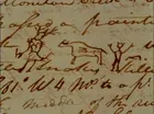 Expedition Journals