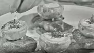 Steaks and Hamburgers