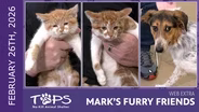 2/26/2026 | Fin, Noah and School Bus | Mark's Furry Friends Extra