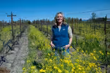 Earth Day Special: CA's Water Explained | Sustainable Wine