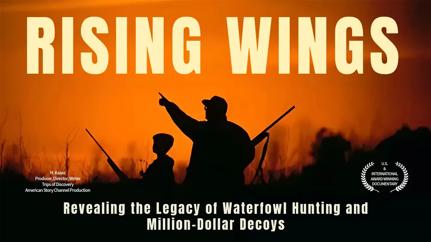 Rising Wings