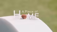 A Piece of Home