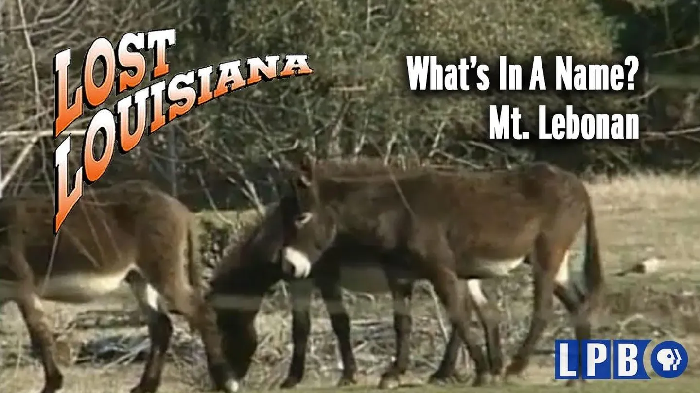 Mt. Lebanon | What's in a Name?