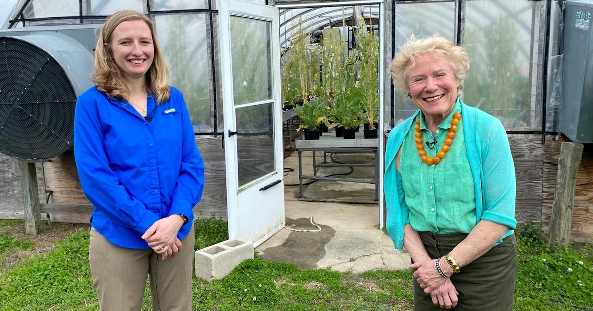 Growing Edible Roses is a Time-Honored Tradition - Southeast AgNET