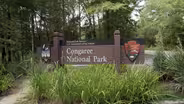 Congaree National Park