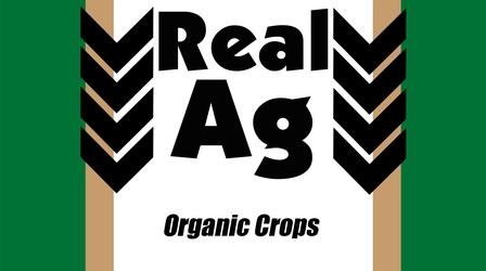 Video thumbnail: Real Ag Real Ag Organic Crops  Ep706