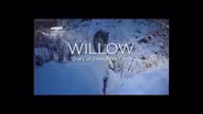 TRAILER | NAAT 4402 | Nature | Willow: Diary of a Mountain Lion