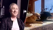 Alan Cumming's Pets