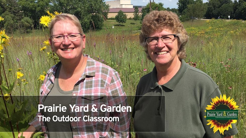 S31 Ep3: The Outdoor Classroom image
