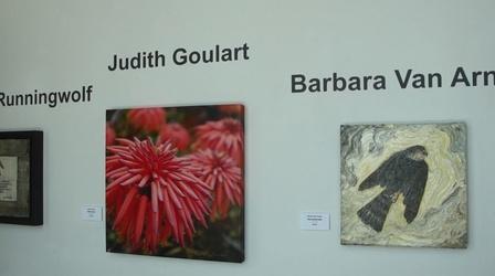 Video thumbnail: Valley PBS Community byYou Gallery 25: July 2017 Exhibition