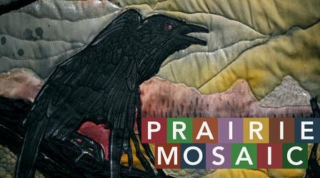 Video thumbnail: Prairie Mosaic Prairie Mosaic 1304
