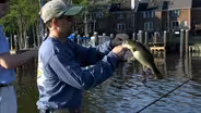 Blade Bass