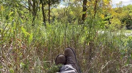 Video thumbnail: Almanac David Gillette Essay | A Field of Grass in Autumn