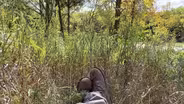 David Gillette Essay | A Field of Grass in Autumn