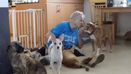 Running with the Big Dogs
