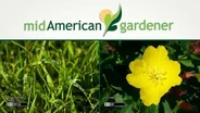 May 11, 2017: Mid-American Gardener with Dianne Noland