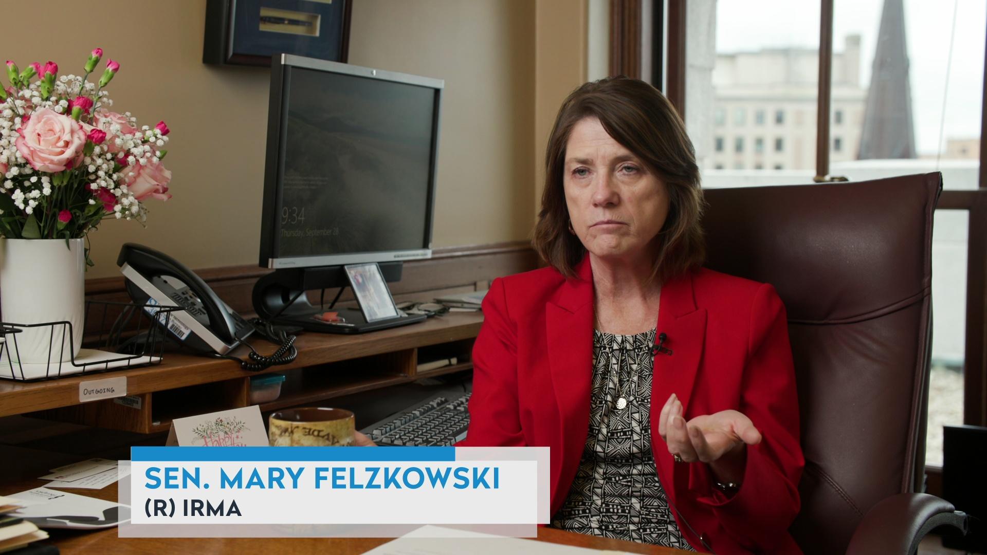 Sen. Mary Felzkowski on regulating medical marijuana sales