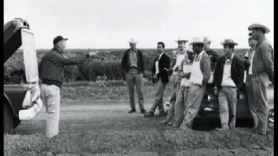 Borlaug Starts Green Revolution