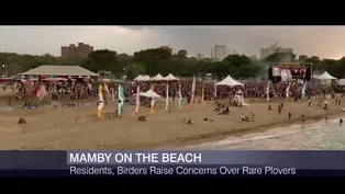 Beachside Music Fest Prompts Concerns Over Endangered Birds