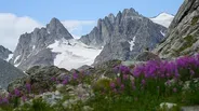 Glaciers of the Winds