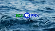 Shore Week on NJ PBS