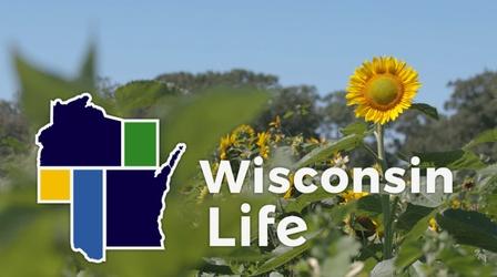 Video thumbnail: Wisconsin Life Flowering Palette