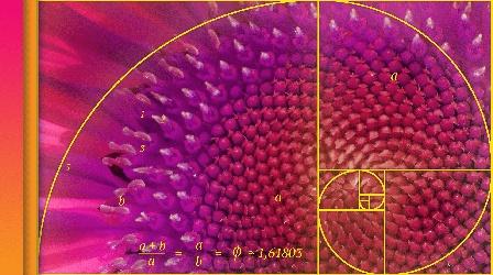 Video thumbnail: Be Smart The Golden Ratio: Is It Myth or Math?